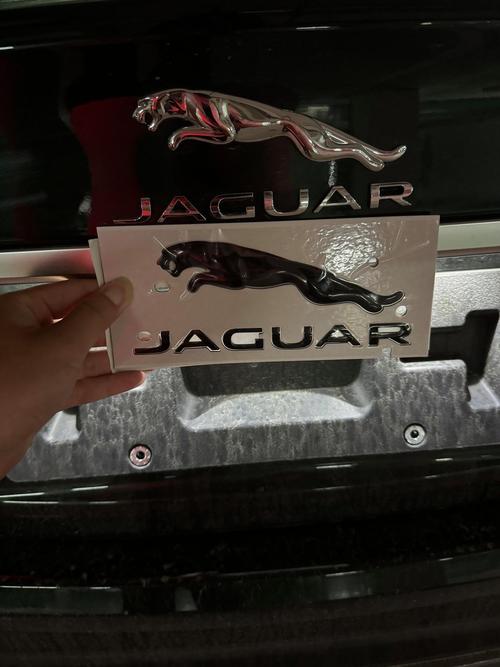 捷豹车标(捷豹车标是什么动物)