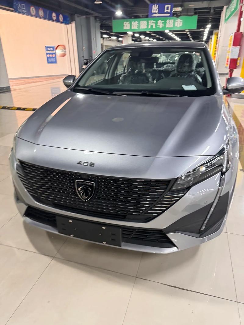 标志408十四大缺点/标志408到底怎样