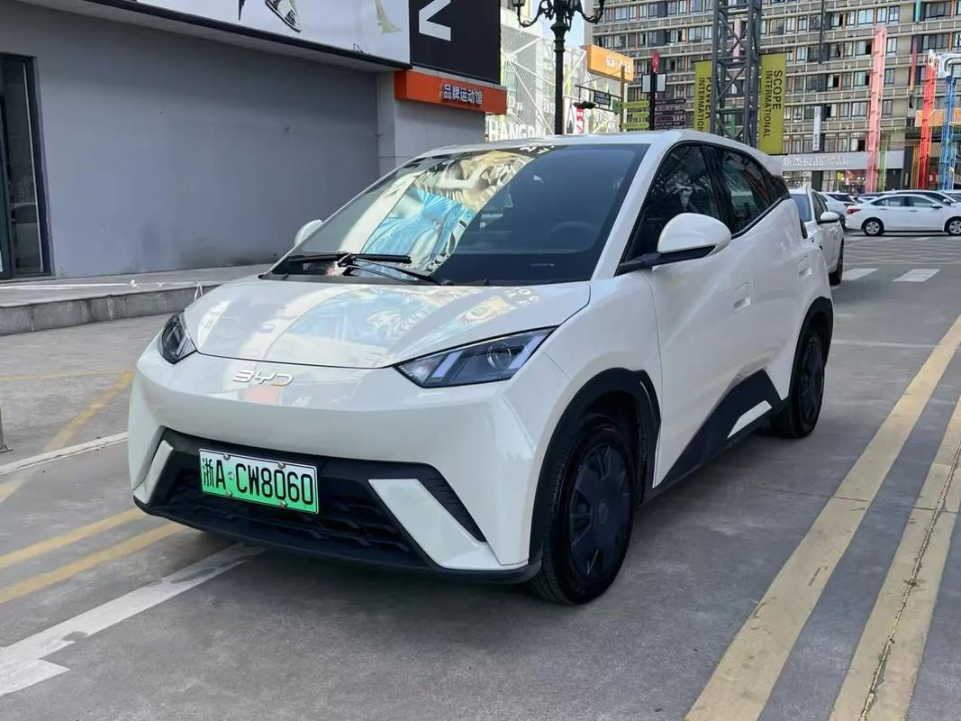 比亚迪纯海鸥电动车2024款最新款价格,比亚迪海鸥新能源汽车