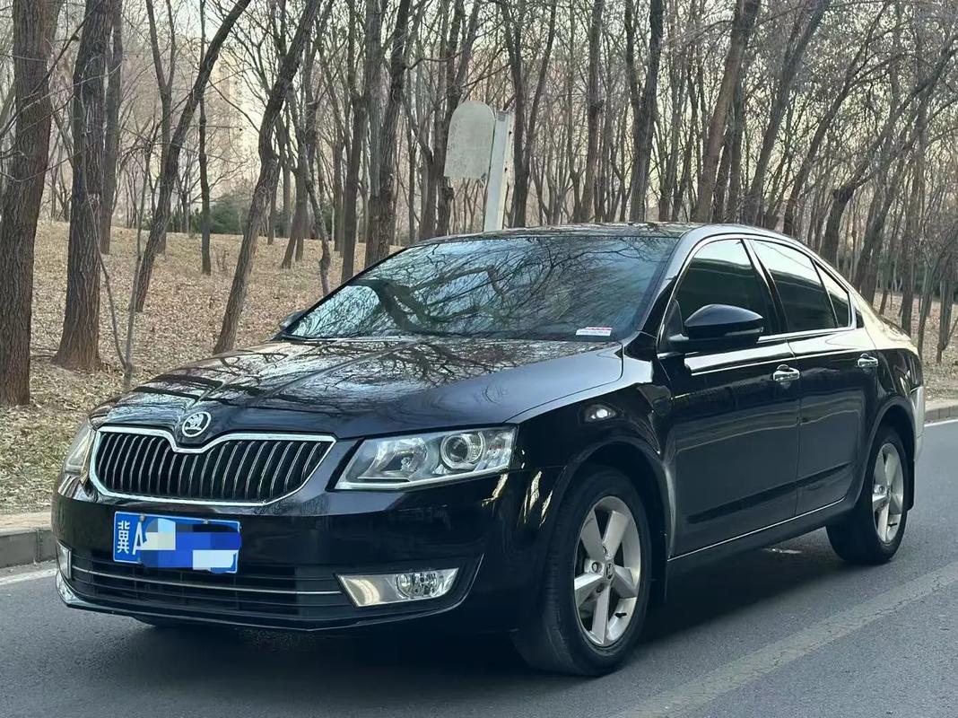 15年的斯柯达明锐值多少钱(15年斯柯达明锐能卖多少钱)