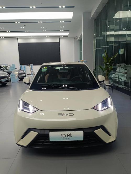 比亚迪秦纯电动车/比亚迪秦纯电动车2025款最新款价格海鸥