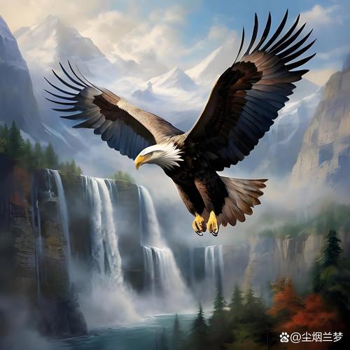 全球鹰最大速度(全球鹰多少米高空飞行)