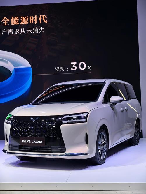 上汽通用五菱小电车售价,上汽通用五菱小汽车